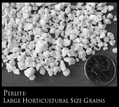 PERLITE- Horticultural Size Grains (Lg 4' tall Bags)