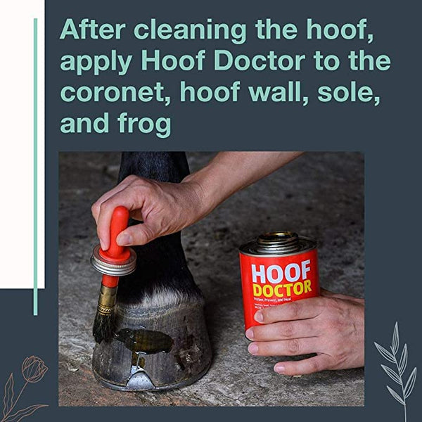 Hoof Doctor Canadian & Farrier