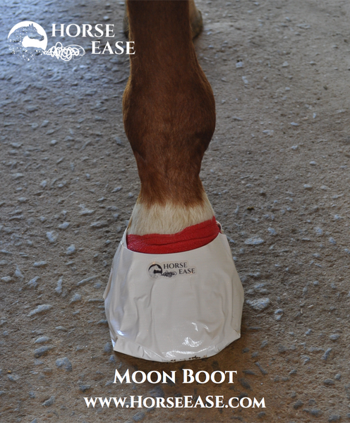 The Horse Ease Moon Boot