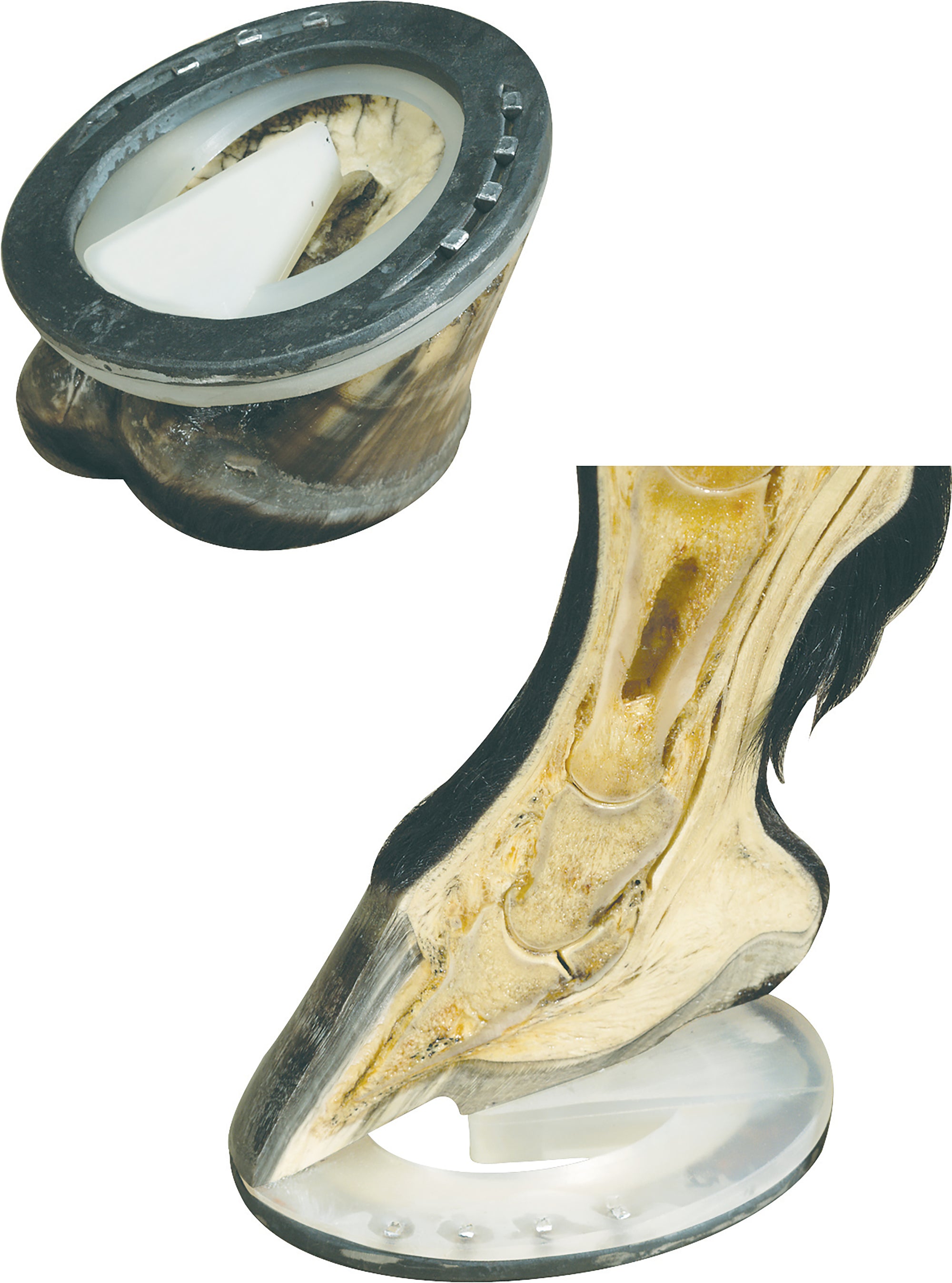 Myron McLane Full Support Pads