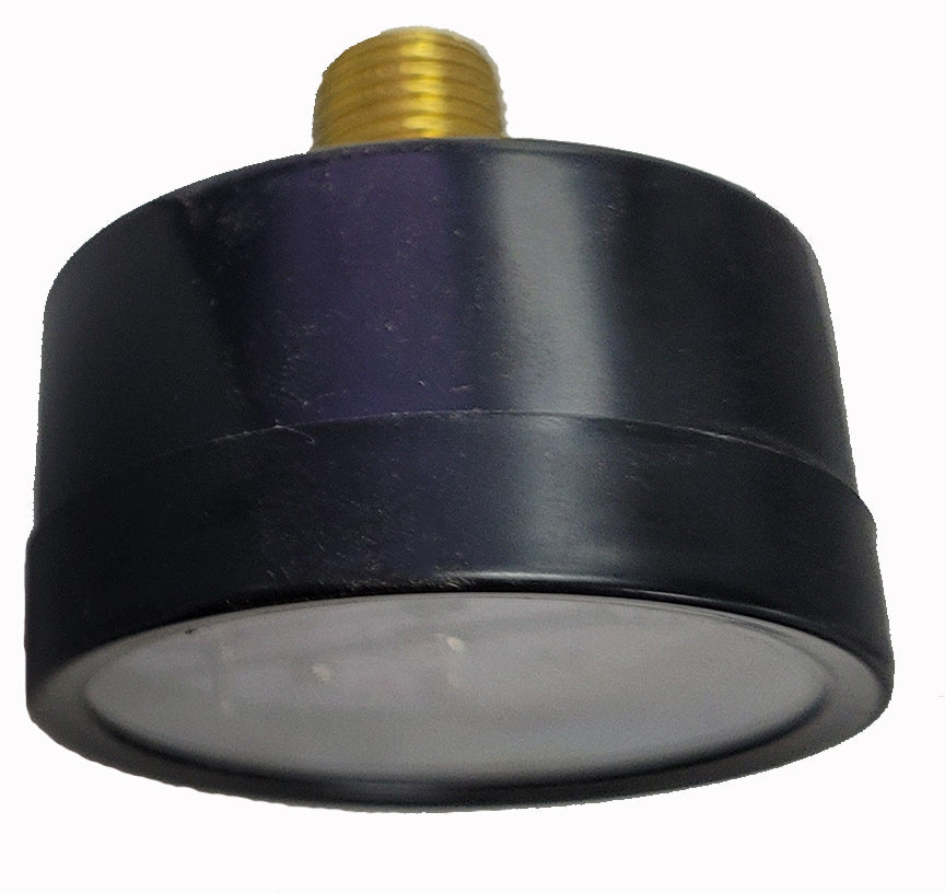 Pressure Gauge Dry Face - 2" (0-30 PSI) w/ Stem on Back