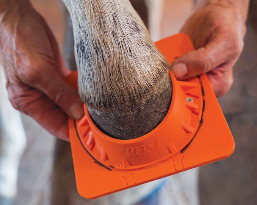 Rose Foal Shoe - Each