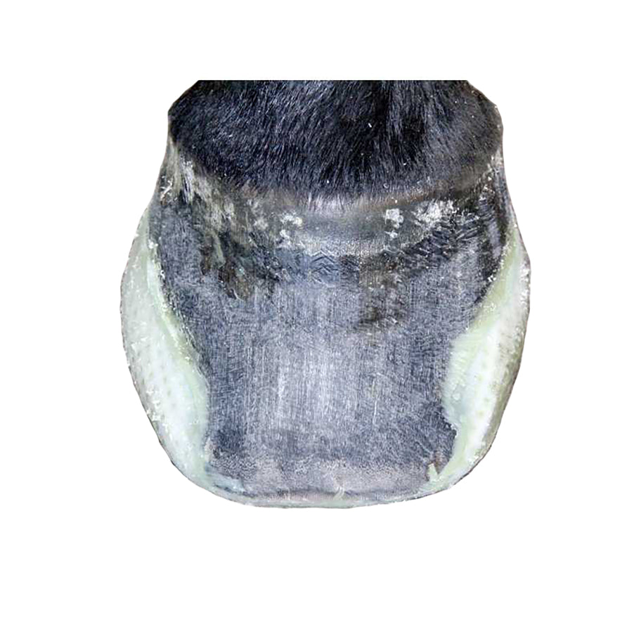 Michel Vaillant Second Sole Race Plate Pad - Each