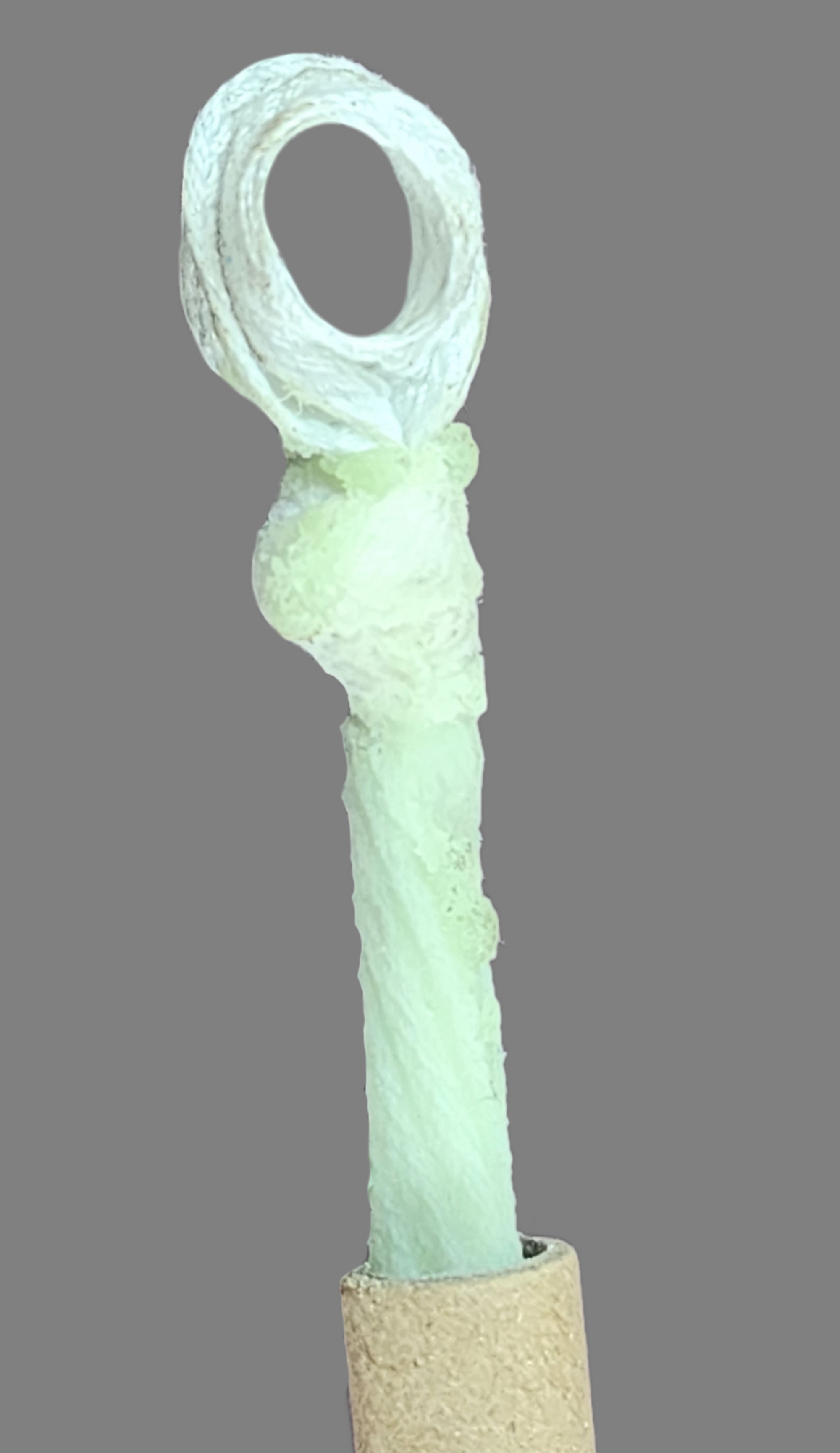 The eyelet at the top of Doc's Stick Lace Drain Void Cord that provides an easy extraction option.  If the lace is firmly planted beneath the set patch, simply advancing a pencil or similar through the loop give you an instant substantial  full hand sized handle to pull from.