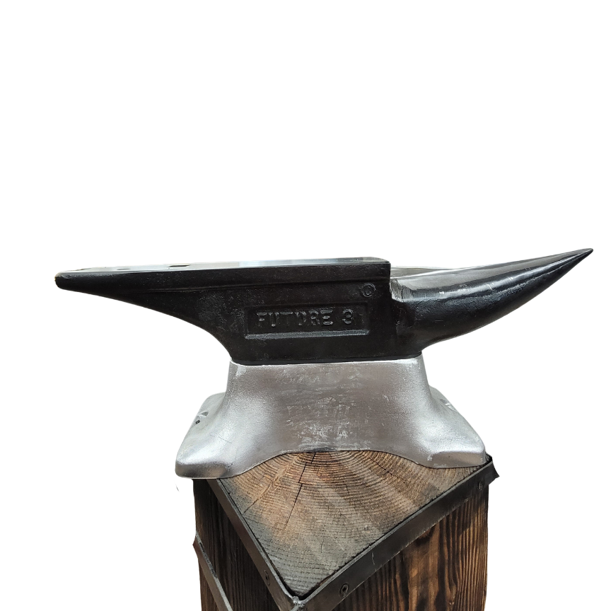 Anvil - Future 3 - 96 lb