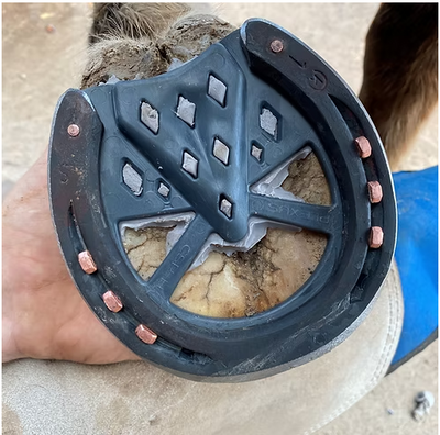 Plexus Open Toe Frog Support Pads - 3 Degree