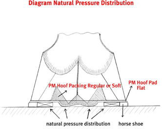 Michael Puhl Pads w/ Frog Support - Flat