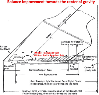 Michael Puhl Pads w/ Frog Support - Wedge