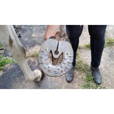 EasyShoe Performance Nail On/Glue On Shoe