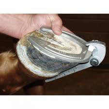 NC Cavalry Hoof Gauge