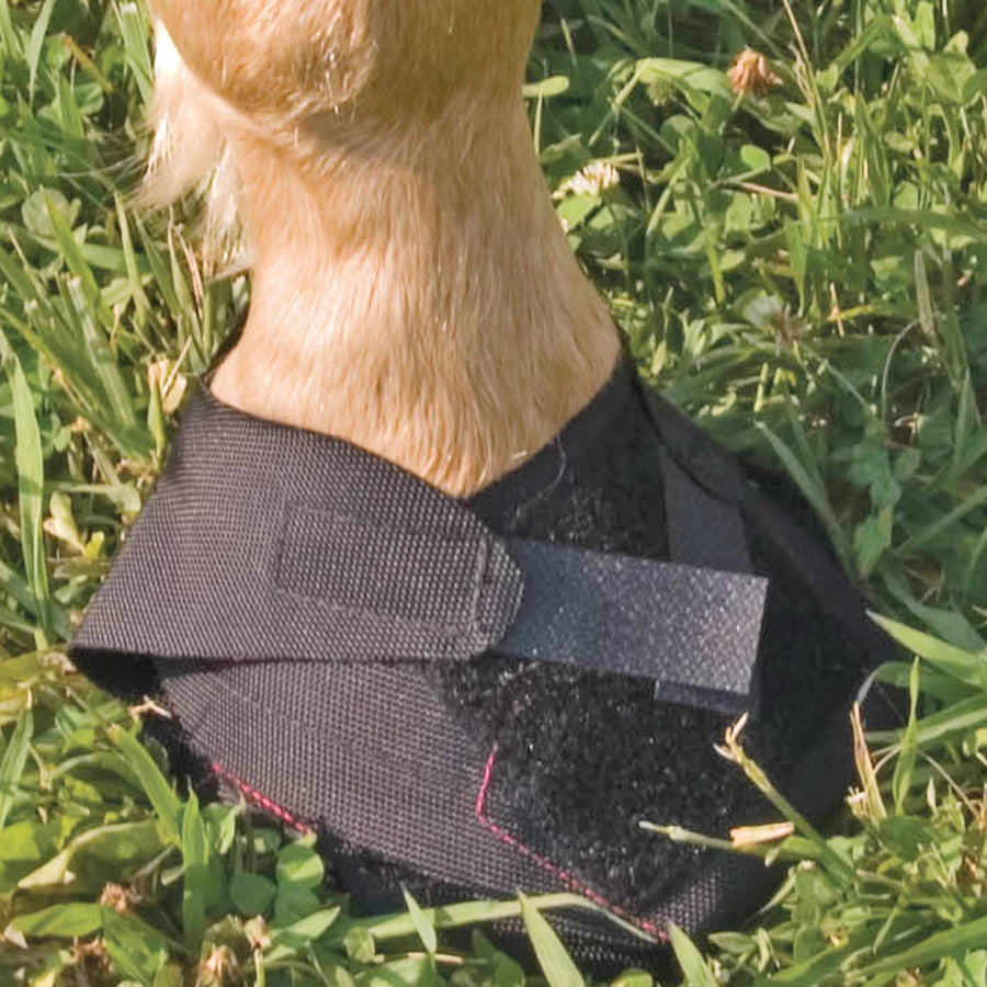Hoof Wraps Turn Out Bandage