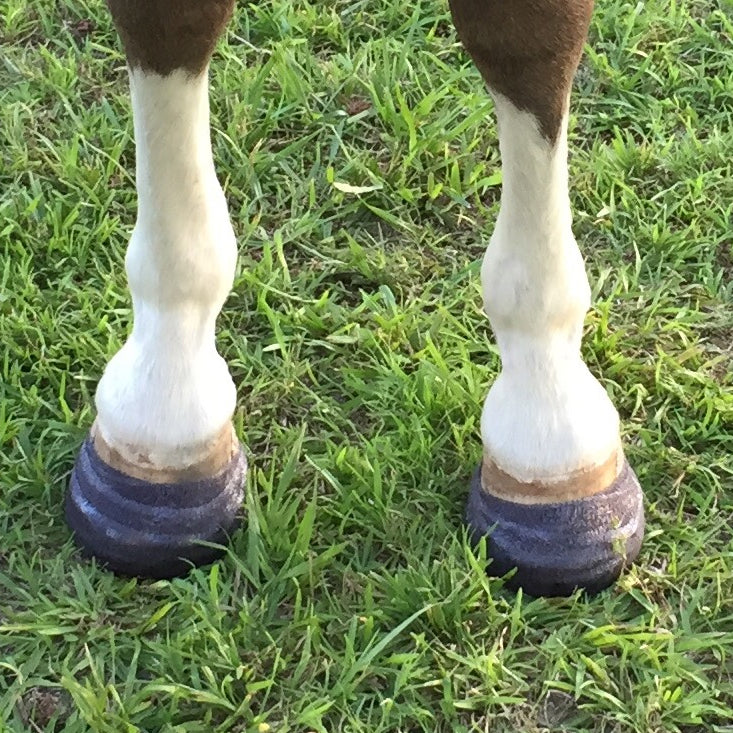 4" wide Hoof Casting Rolls (for applying 'Clogs' for horse hooves) by EquiCast