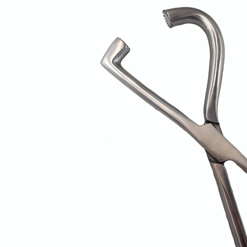 Precision Canada stainless steel D shape hoof tester with compact design, used for locating hoof pain in horses.