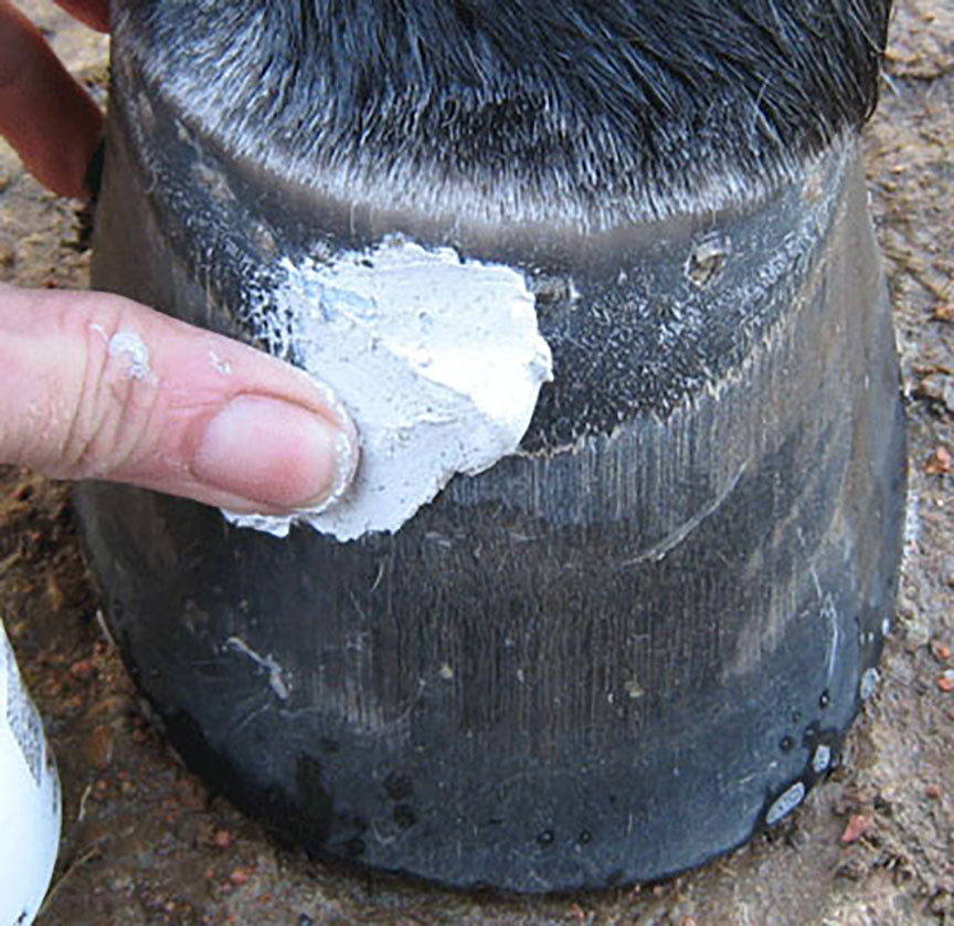 Red Horse Artimud Antifungal Hoof Clay