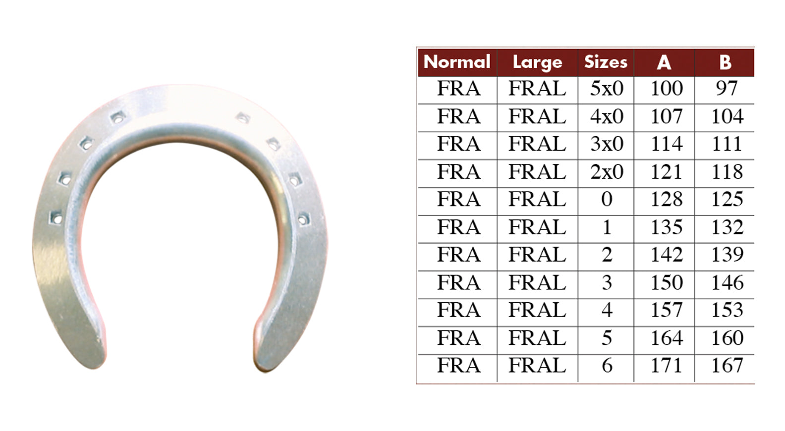 Colleoni FRA Open Full Rolling Aluminum Horseshoe