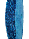 8" Diameter Blue Sisal Wheel Edge Oblique View @ Canadian Forge