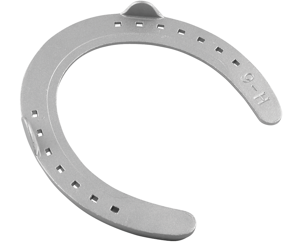St. Croix Regular Hind Aluminum Horseshoes - Side clipped