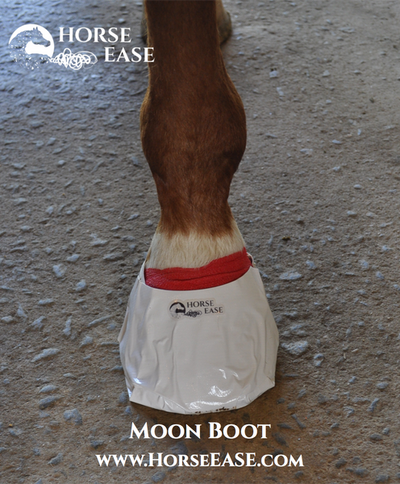 The Horse Ease ''Moon Boot''