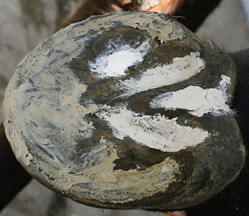 Red Horse Artimud Antifungal Hoof Clay